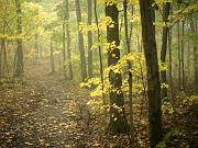 fall09-14
