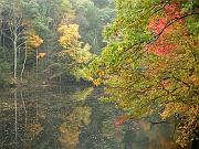 fall09-19