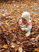 fall09-24