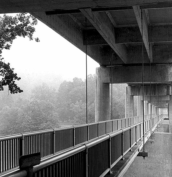 bridge.jpg