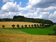 hohenstein