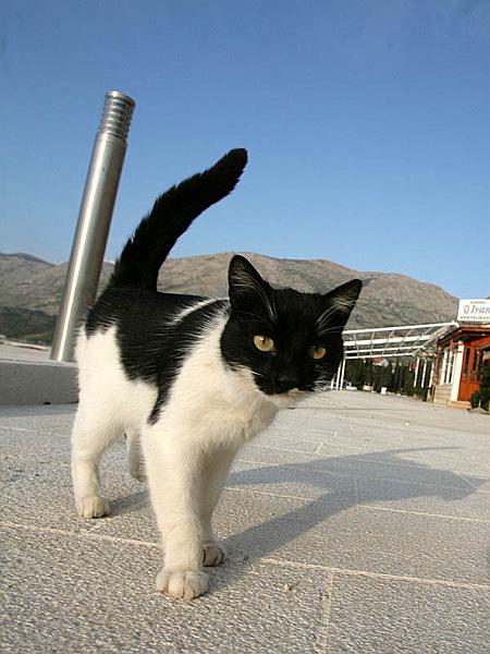 croatia090.jpg