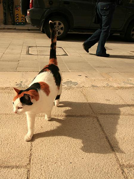 malta44.jpg