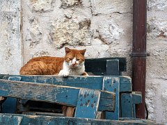 croatia016