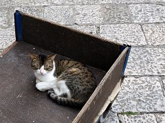 croatia017