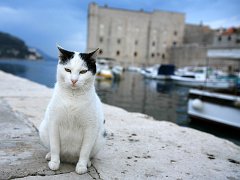 croatia027