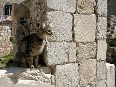 croatia079