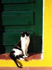 portugal14