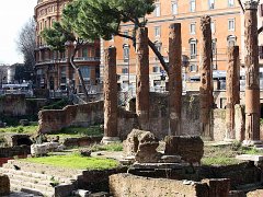 rome81