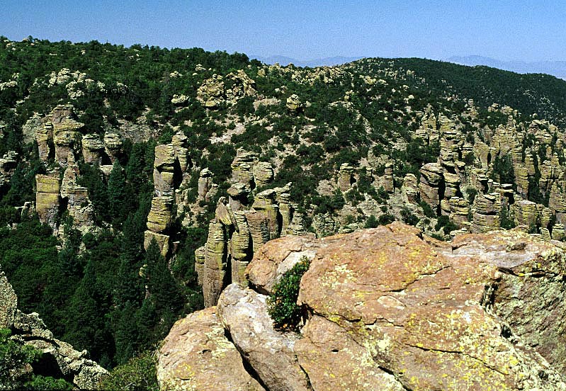 chiricahua7.jpg