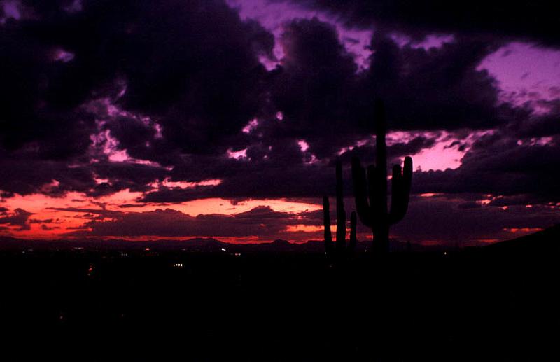 tucson02-04.jpg