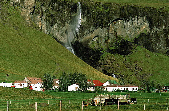 fossi.jpg