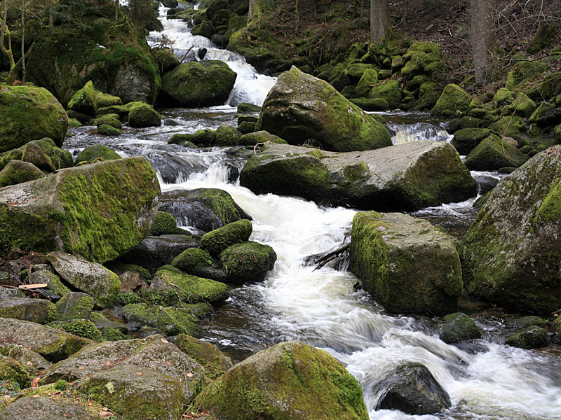 triberg3.jpg