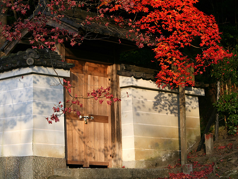 kyoto51.jpg