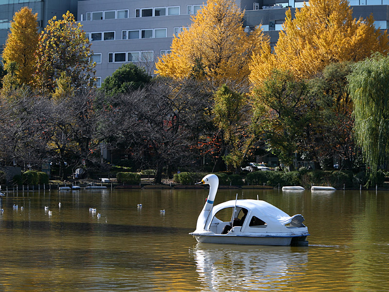 tokyo06.jpg