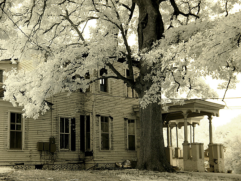 house01.jpg