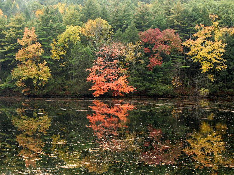 fall09-13.jpg