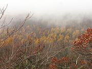 shenandoah3