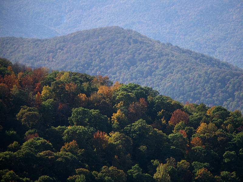 fall-va02.jpg