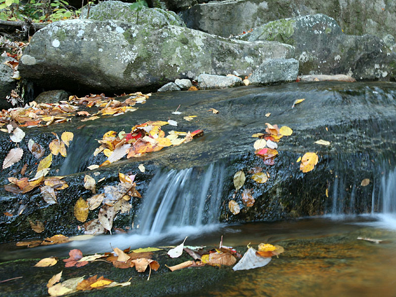 fall-va09.jpg