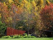 fall-va04