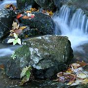 fall-va07