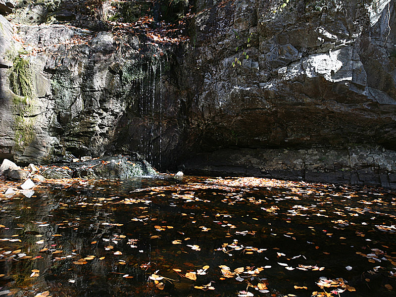 cheaha02.jpg