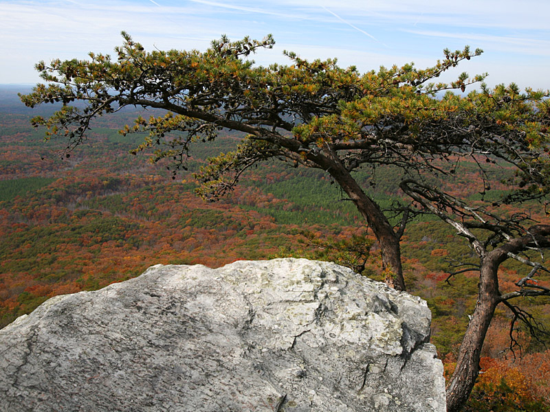 cheaha07.jpg