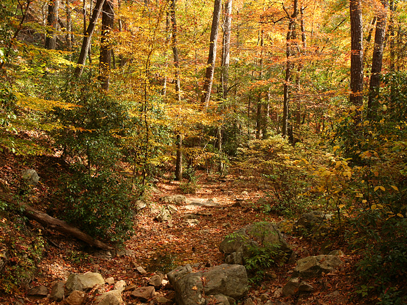 oakmtn02.jpg