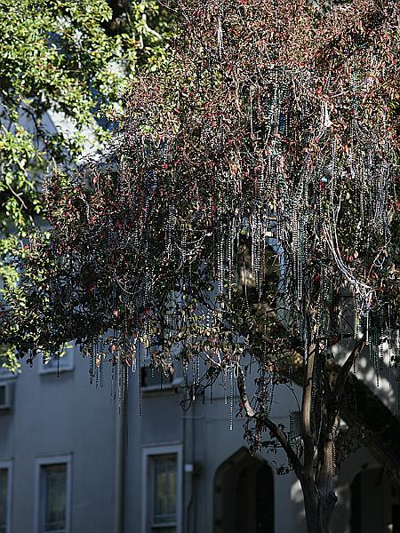 neworleans24.jpg