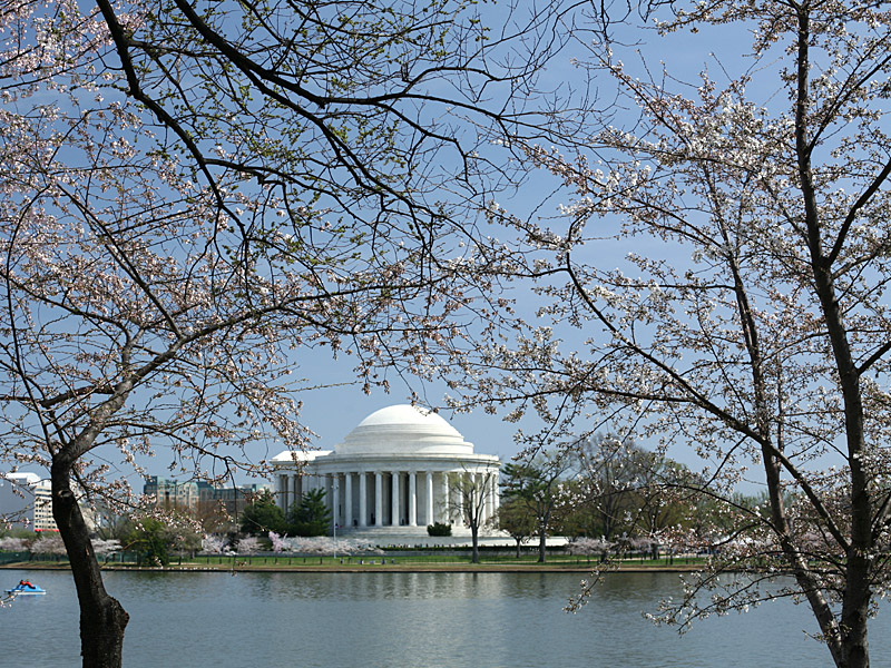 dc06.jpg