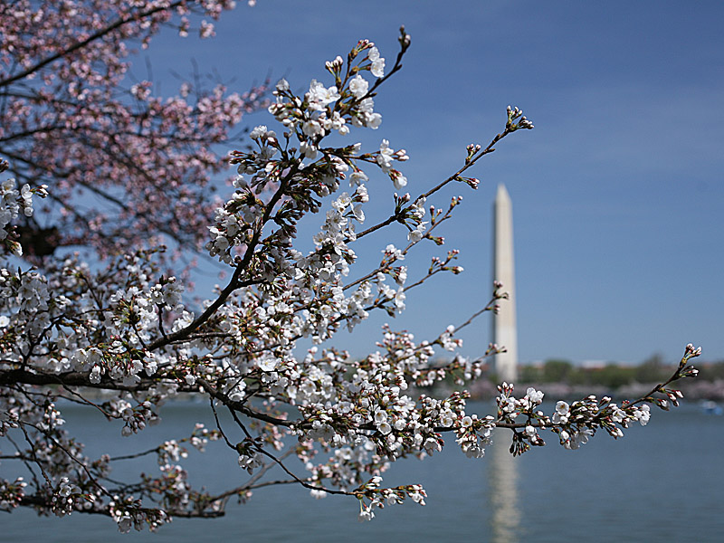 dc08.jpg