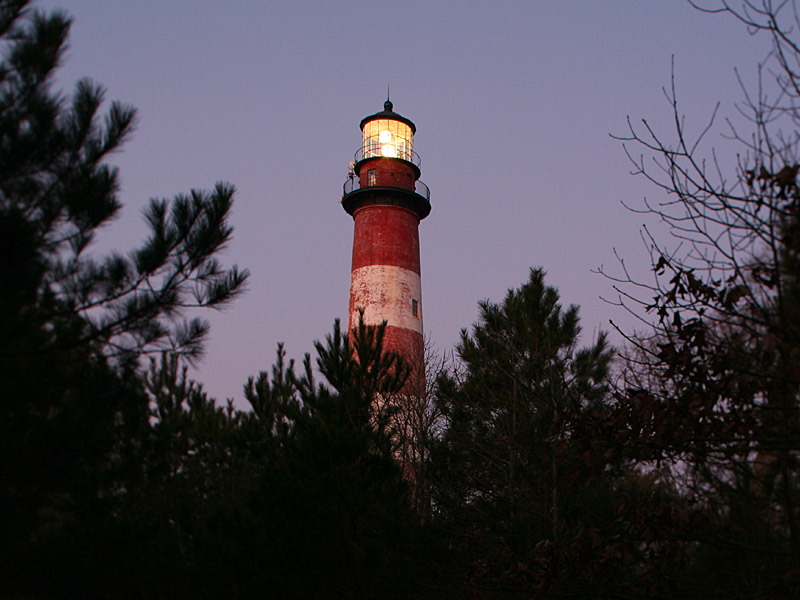 assateague01.jpg