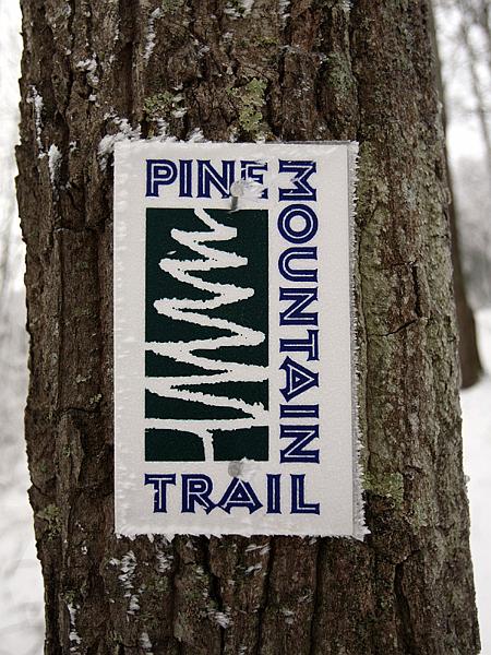 pinemountain01.jpg