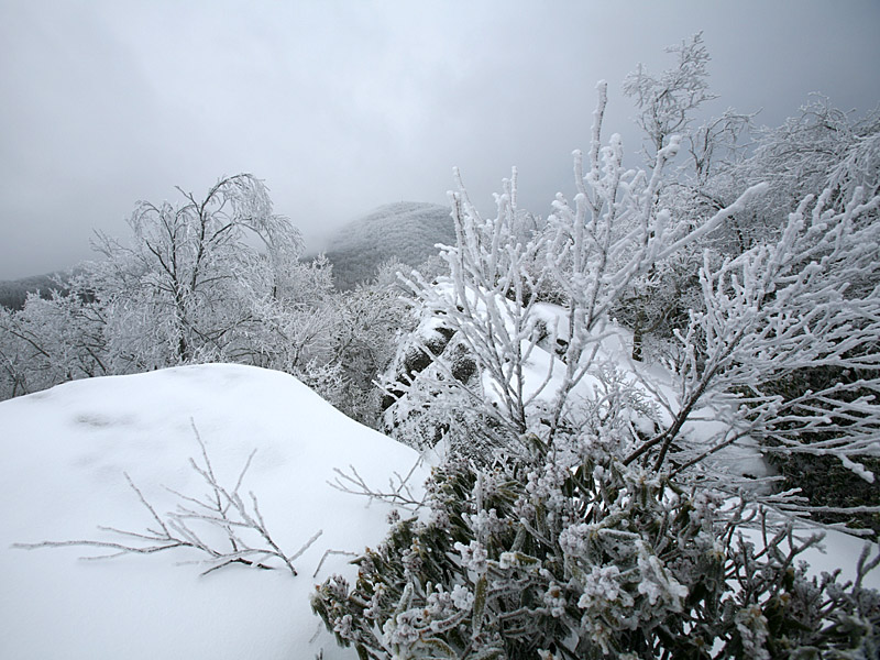 pinemountain04.jpg