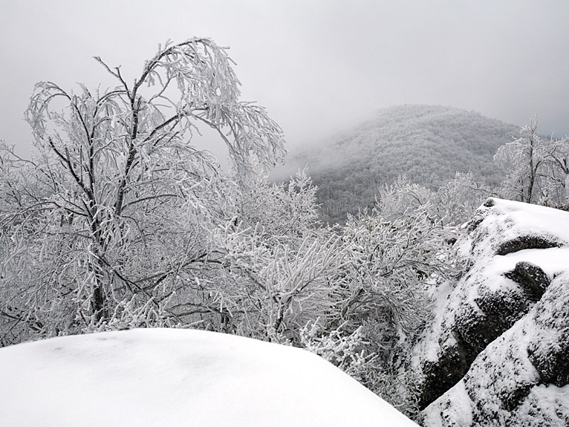 pinemountain05.jpg