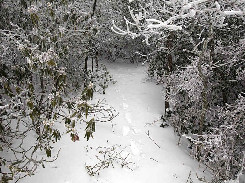 pinemountain08.jpg