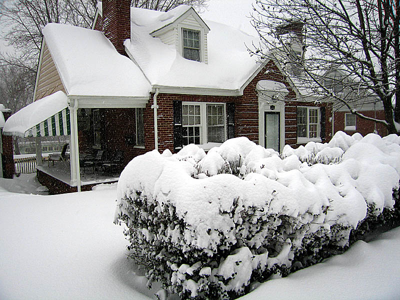 snow01.jpg