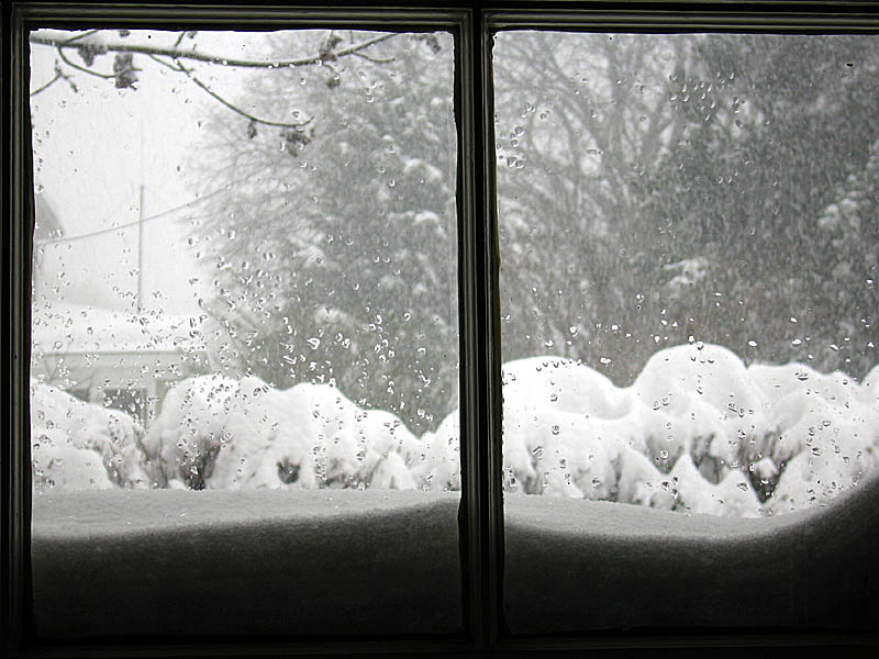 snow02.jpg
