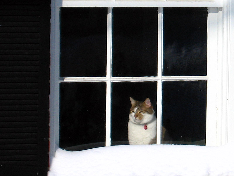snow04.jpg