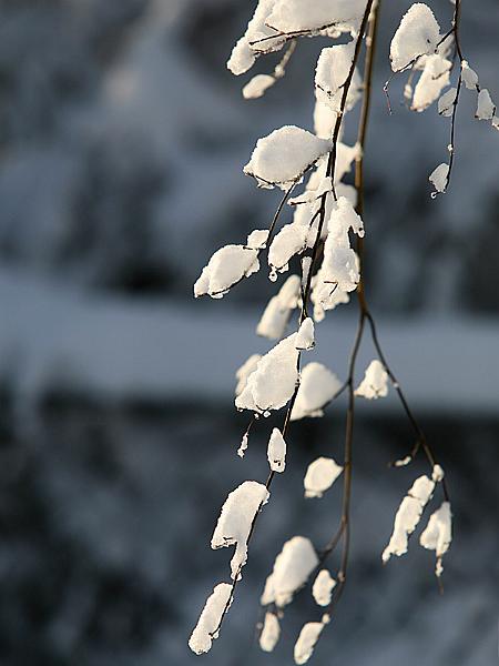 snow06.jpg
