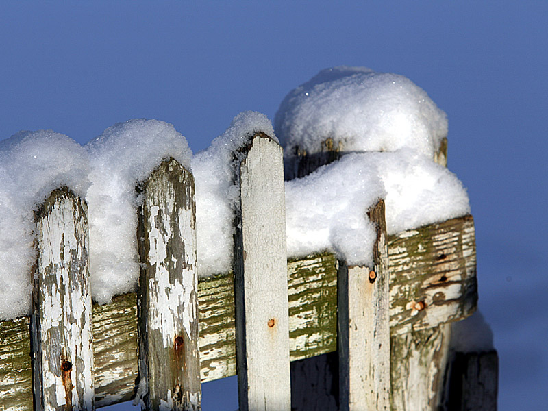 snow07.jpg