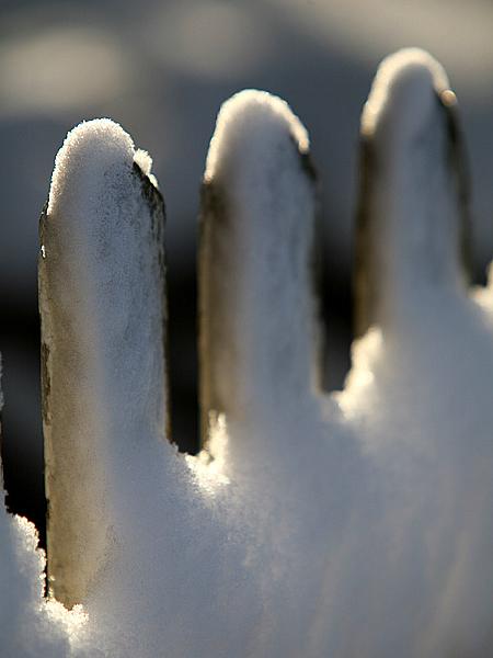 snow08.jpg