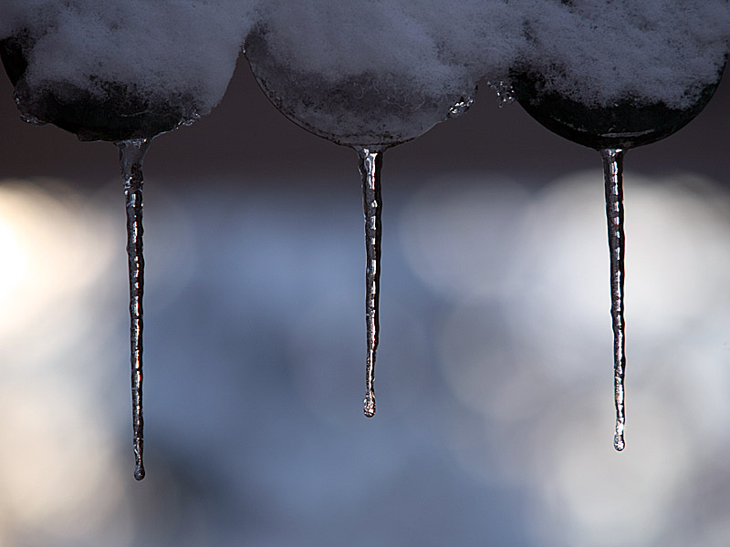 snow09.jpg