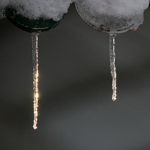 snow10.jpg