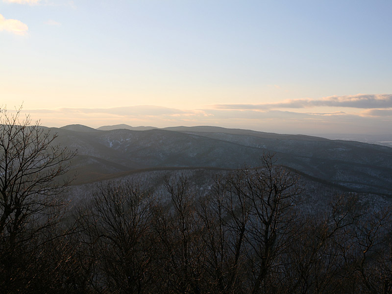 wintergreen03.jpg