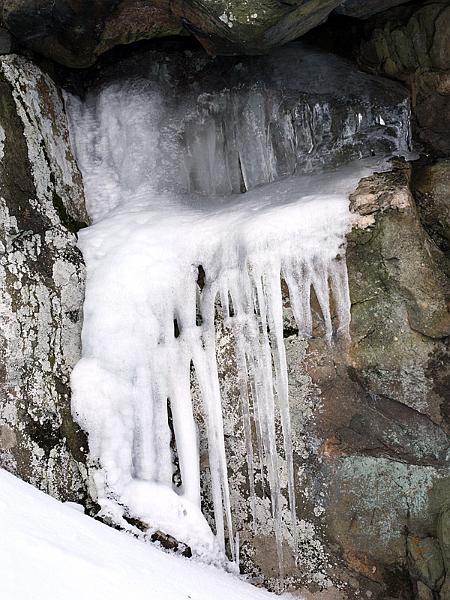 wintergreen05.jpg