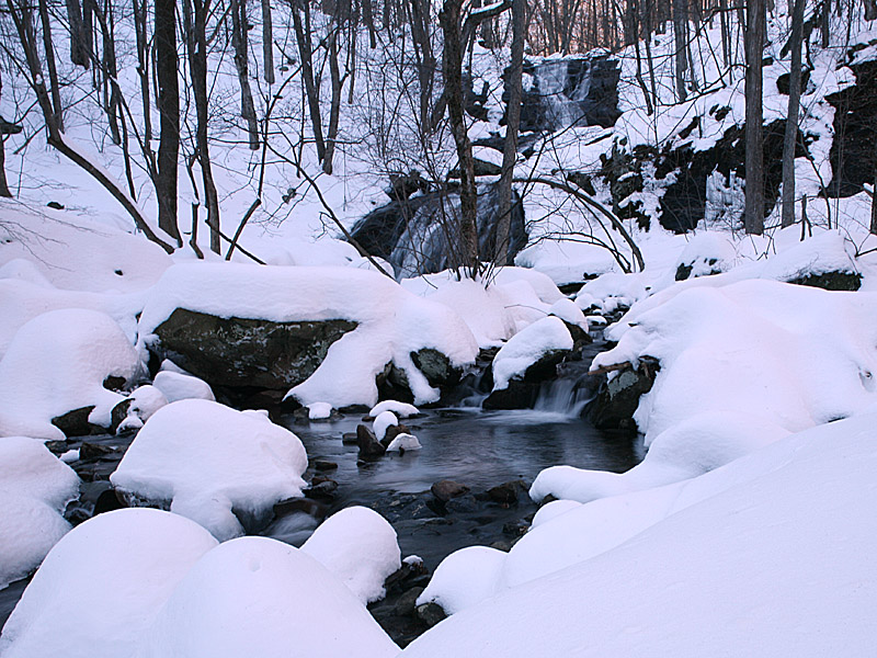 wintergreen06.jpg