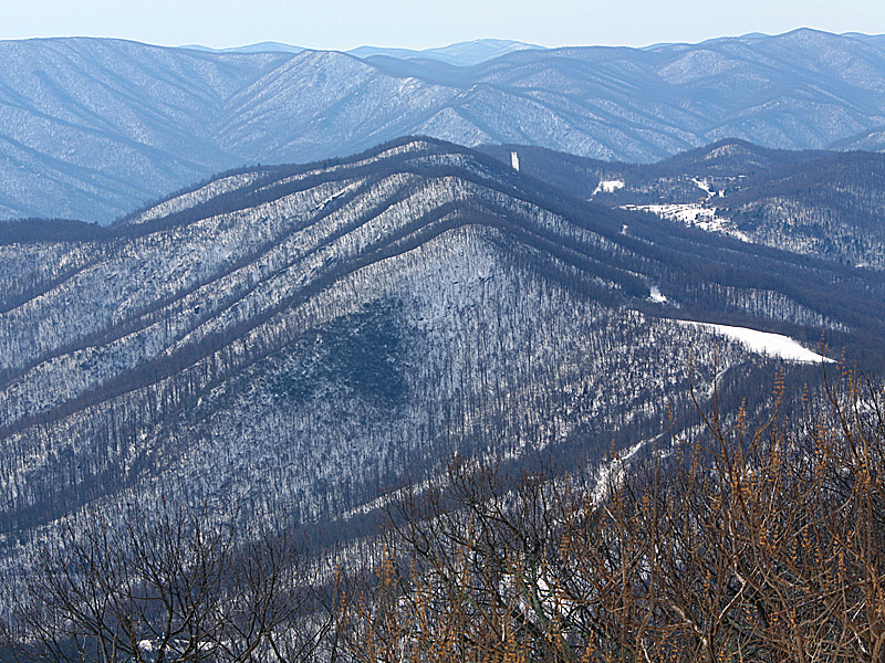 wintergreen09.jpg