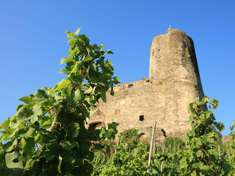 bernkastel04.jpg